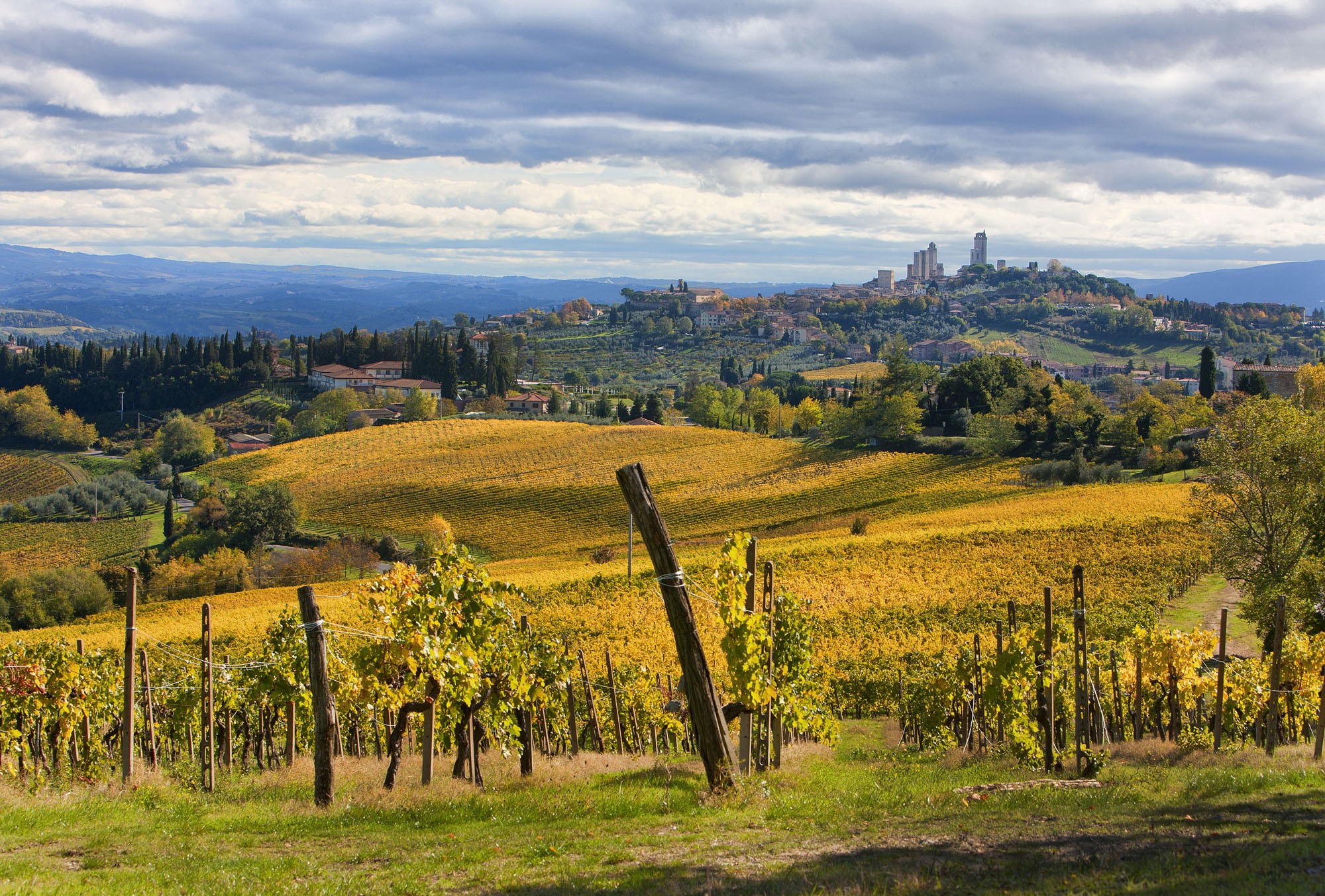 La Rocca Vineyard san gimignano