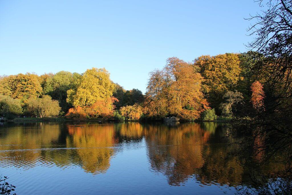 Rombergpark dortmund