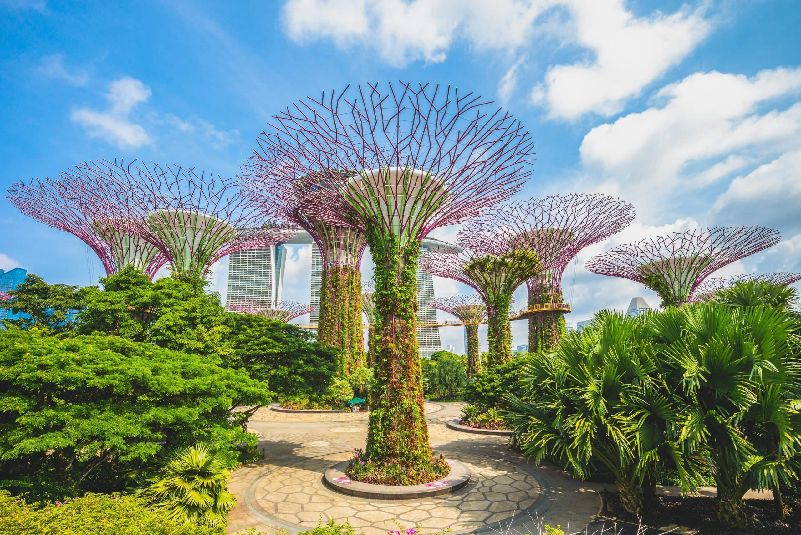 Free-tour-guide-to-Singapore-Botanic-Gardens sustainable