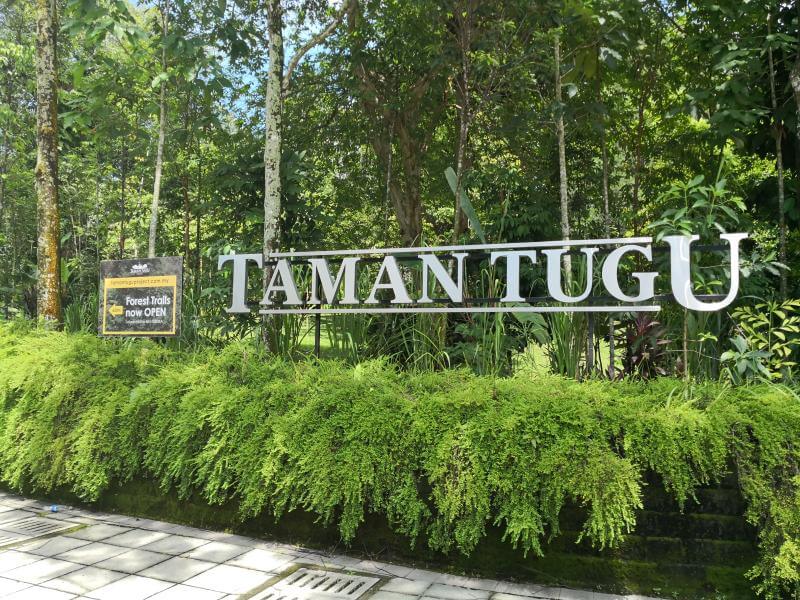 Taman Tugu Forest Trail