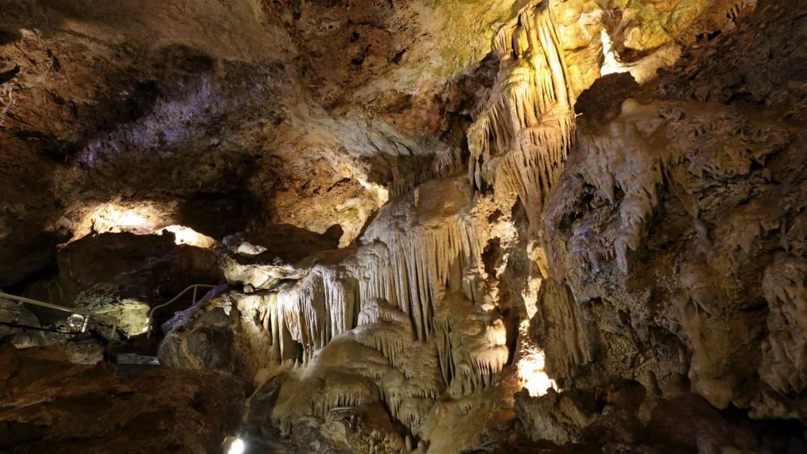 JARDIN EXOTIQUE DE MONACO CAVE