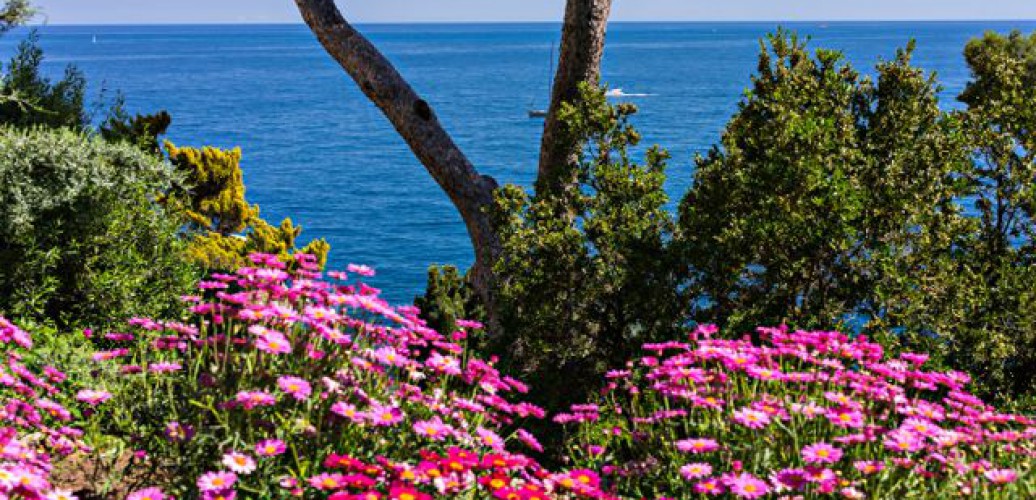 Les Jardins Saint Martin monaco