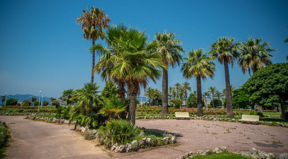 shutterstock 1783065407 min