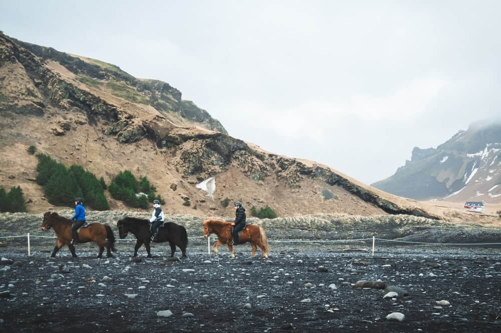 Iceland in June: Midnight Sun Adventures & Viking Festival 2 shutterstock 2463138361 min