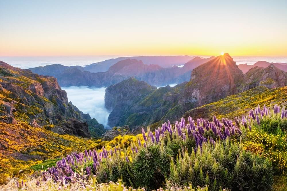 free tour guide to madeira - hero